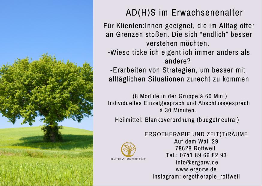 AD(H)S im Erwachsenenalter – Details